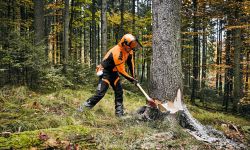 Motorsägenkurse bei Reinhardt in Eschwege